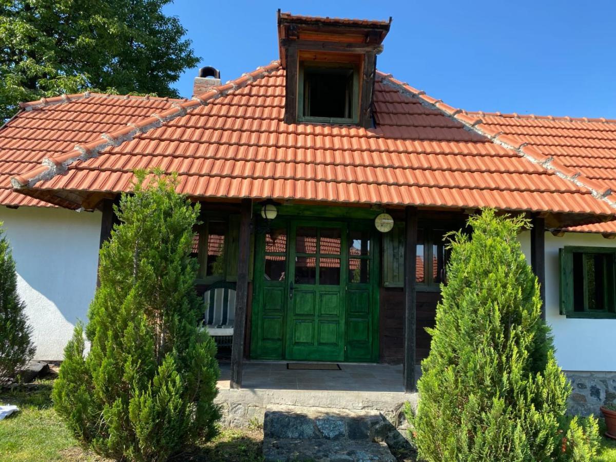 Camp Viljamovka Apartman Kremna Kültér fotó