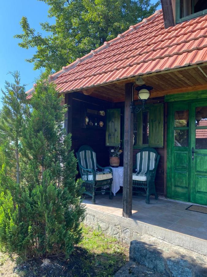 Camp Viljamovka Apartman Kremna Kültér fotó