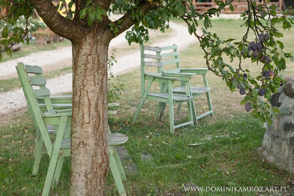 Camp Viljamovka Apartman Kremna Kültér fotó