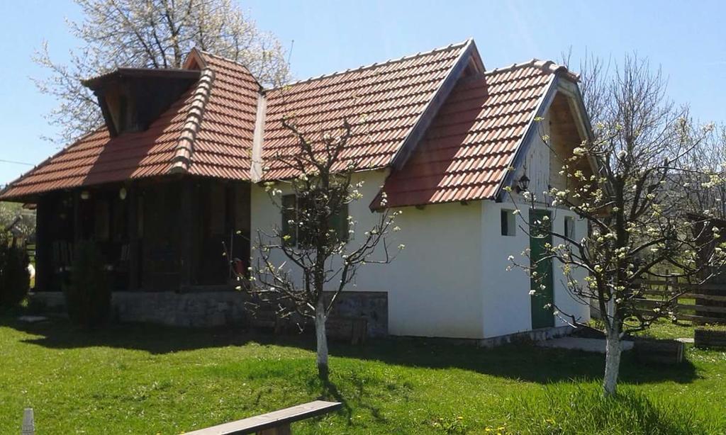 Camp Viljamovka Apartman Kremna Kültér fotó