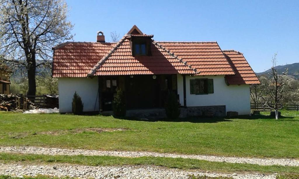 Camp Viljamovka Apartman Kremna Kültér fotó
