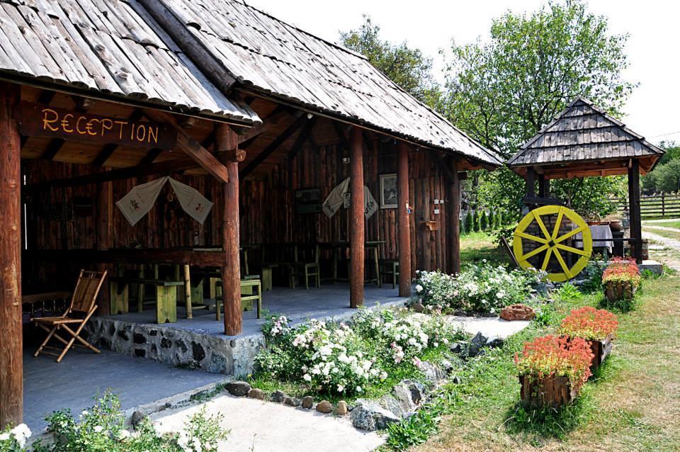Camp Viljamovka Apartman Kremna Kültér fotó