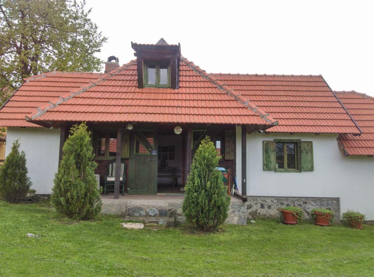 Camp Viljamovka Apartman Kremna Kültér fotó