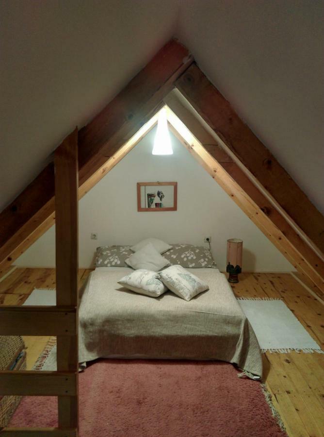 Camp Viljamovka Apartman Kremna Kültér fotó